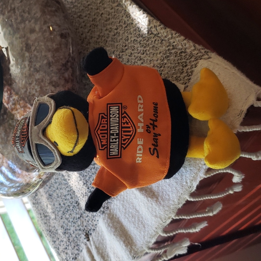 1999 Harley Davidson Duck